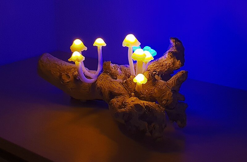 Impression der Magic Mushrooms-Leuchte