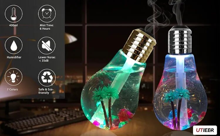 Bulb Humidifier