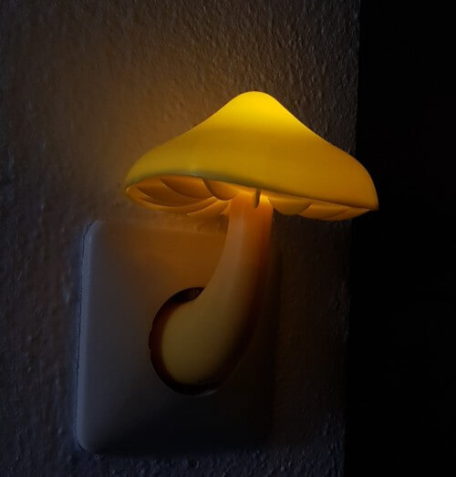 Pilz-Nachtlicht